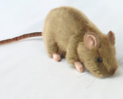 Soft Toy Rodent, Rat by Hansa (25cm) 2794