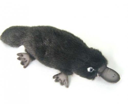 Soft Toy Platypus by Hansa (30cm) 3665