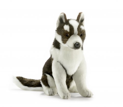 Soft Toy Husky Dog by Hansa (25cm) 5269