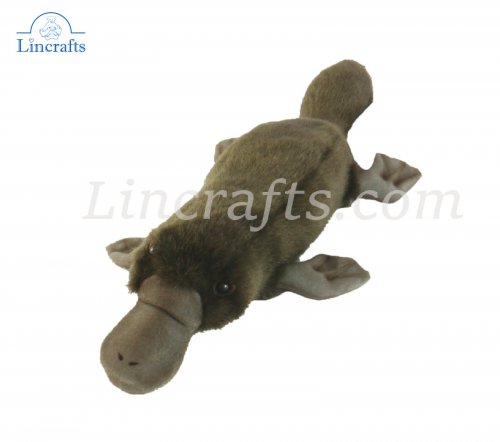 Hansa Duck Billed Platypus 3665  Soft Toy Sold by Lincrafts Established 1993 
