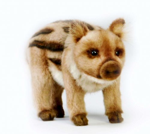 Soft Toy Wild Pig by Hansa (23cm) 4853