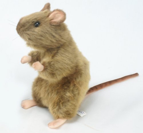 Soft Toy Rodent, Rat by Hansa (22cm) 2795