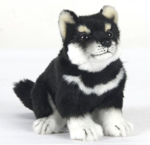 Soft Toy Dog, Shiba Pup by Hansa (25cm.L) 7249