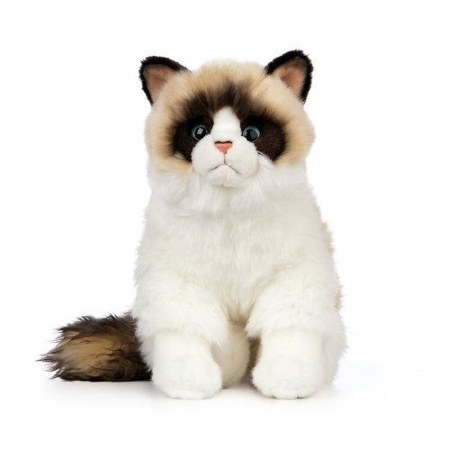 Soft Toy Ragdoll Cat by Living Nature (27cm) AN567