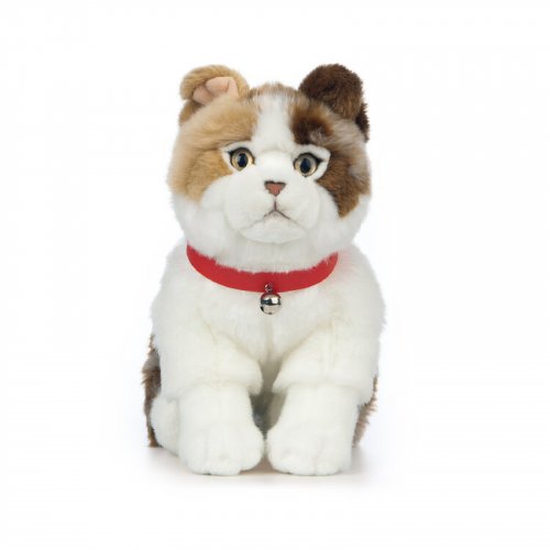 Soft Toy Scottish Fold Cat by Living Nature (27cm) AN568