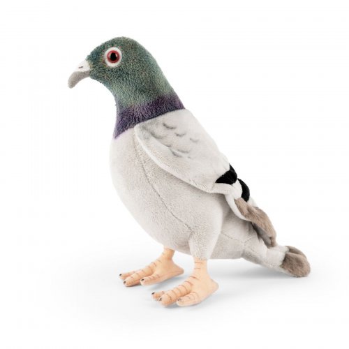 Soft Toy Pigeon by Living Nature (20cm)H. AN664