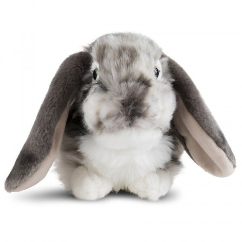 Soft Toy Lop Ear Rabbit by Living Nature (25cm) AN316g