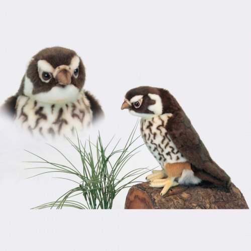 Soft Toy Bird of Prey, Falcon by Hansa (24cm) 3593