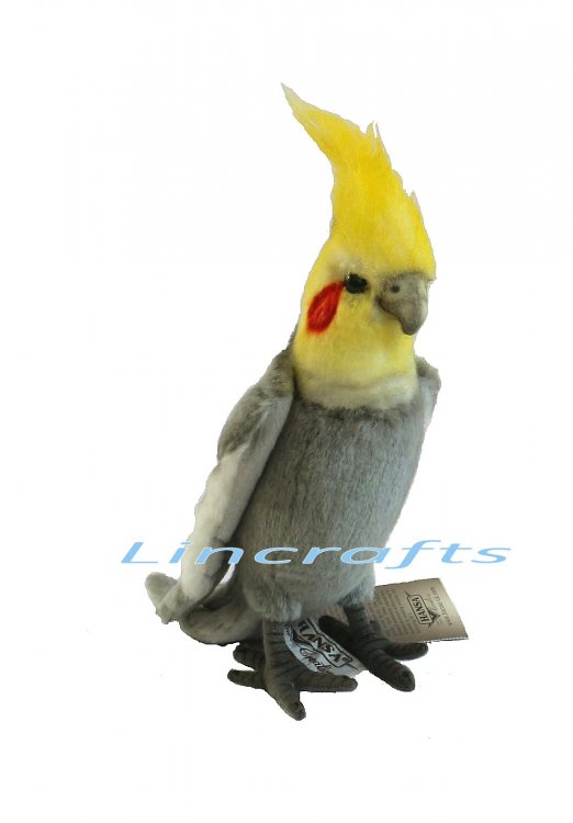 hansa birds