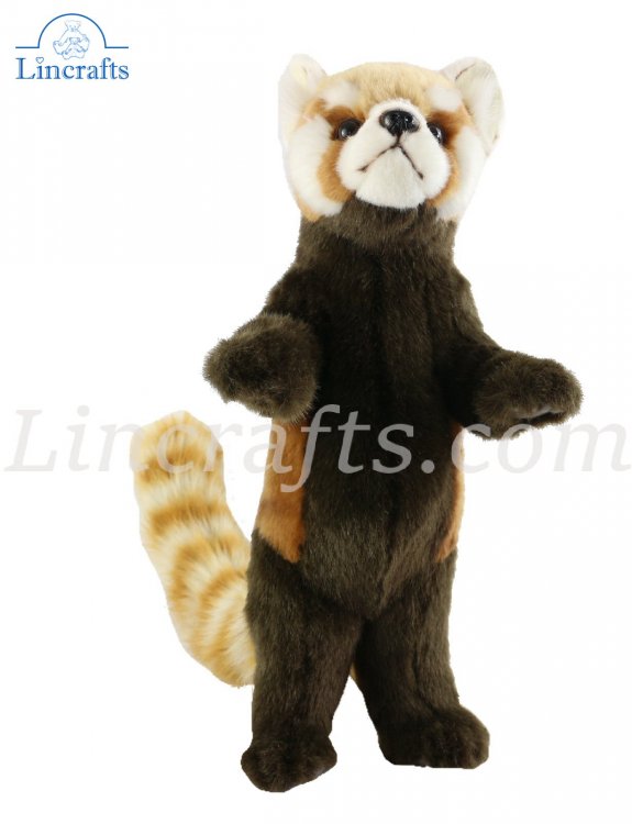 Established 1993 Hansa Red Panda 6309 Plush Soft Toy Sold by Lincrafts 