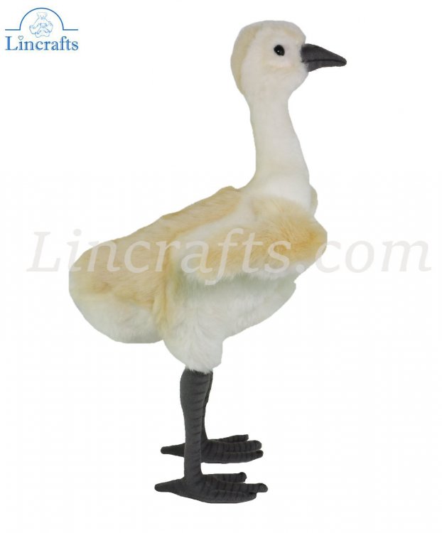 Hansa Sandhill Crane Chick 5197 Soft Toy bird Sold by Lincrafts UK Est.1993 