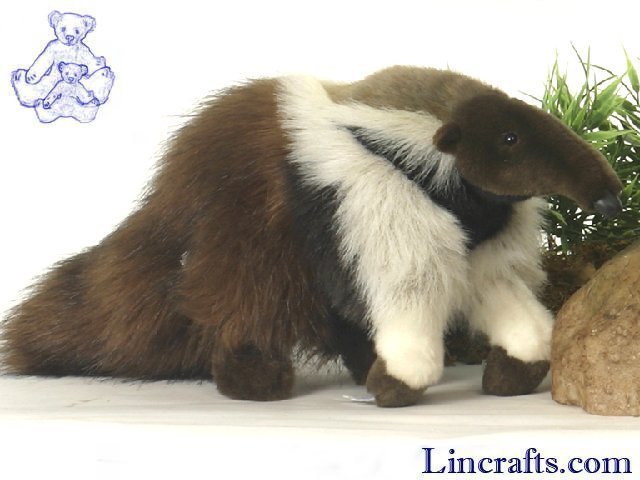 anteater soft toy