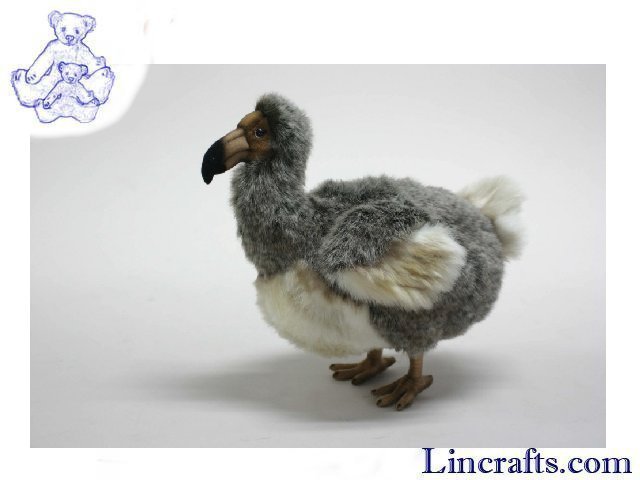 dodo soft toy