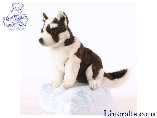 hansa husky