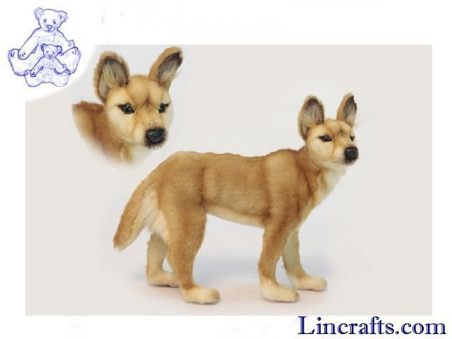 dingo plush