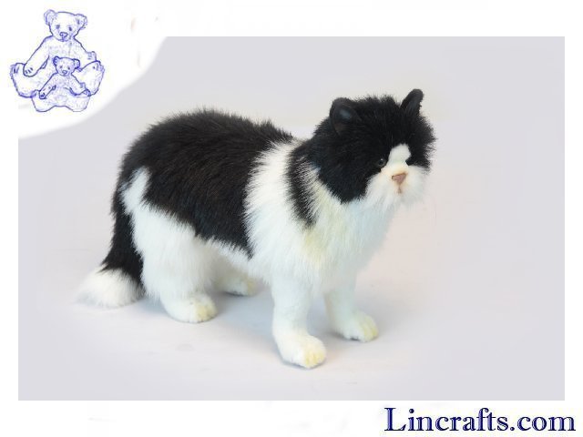 black and white cat cuddly toy