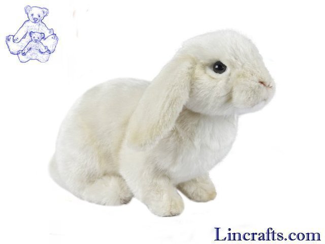 hansa bunny