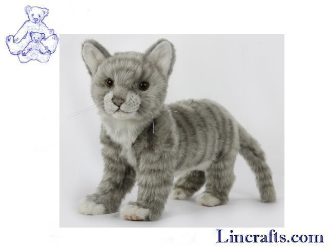 grey cat soft toy