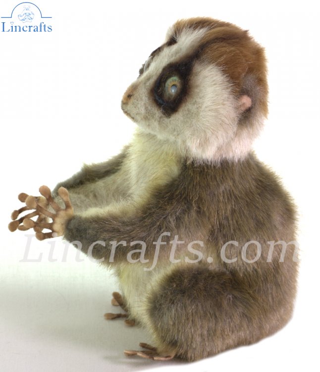Slow loris Plush Toy by Hansa 7043 with tag super real cute koesen Steiff