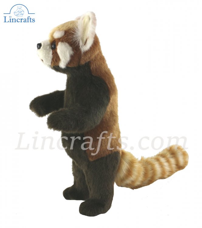 Hansa Standing Red Panda 7252 Plush Soft Toy Sold by Lincrafts UK Est.1993 