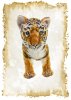 Greeting Card featuring Hansa Soft Toy Tiger. Created by LDA. C28