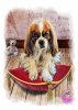 King Charles Spaniel Puppy Dog Birthday, Greeting Card. Cute pawtrait doggy art by LDA. C52