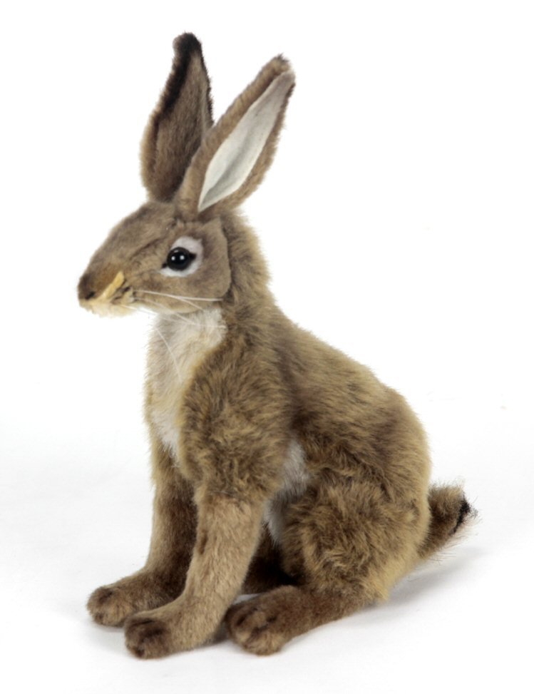 Hansa Jack Rabbit Hare 3145 Plush Soft Toy Sold by Lincrafts Established 1993 