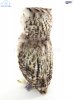 Soft Toy Bird of Prey, Fish Owl by Hansa (26cm H) 6767