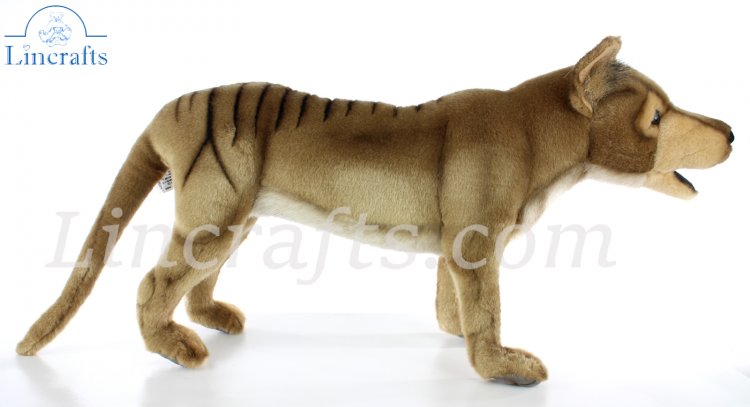 Hansa Tasmanian Tiger 5169 Plush Soft Toy Sold by Lincrafts UK Est 1993 