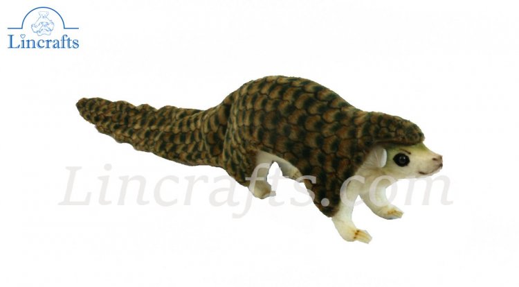 pangolin cuddly toy