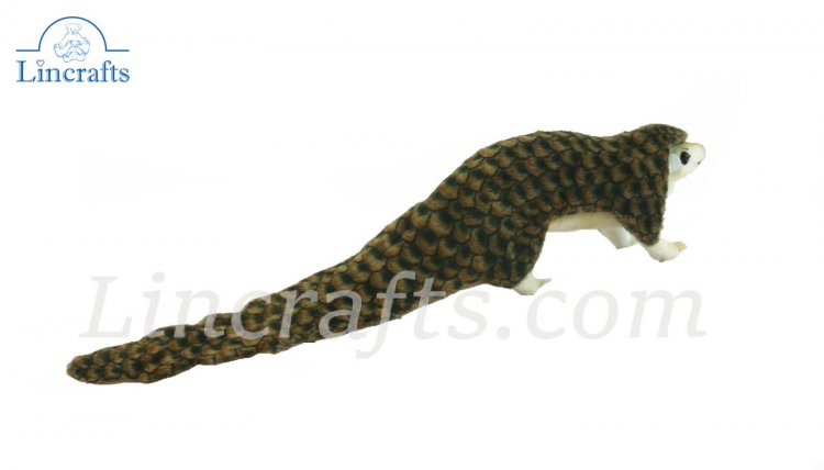 pangolin cuddly toy