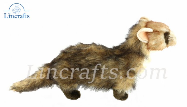 hansa ferret