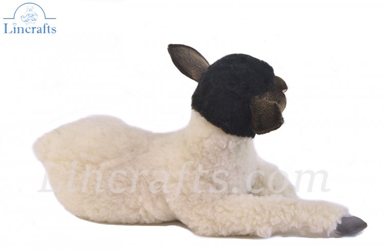 Soft Toy Black Faced Sheep, Suffolk, Lying by Hansa (45cm Soft Toy Black Faced Sheep, Suffolk, Lying by Hansa (45cm