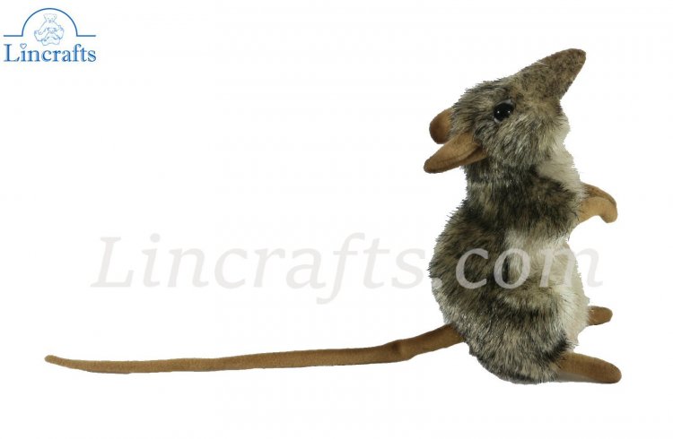 elephant shrew stuffed animal