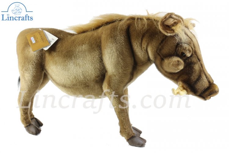 warthog soft toy