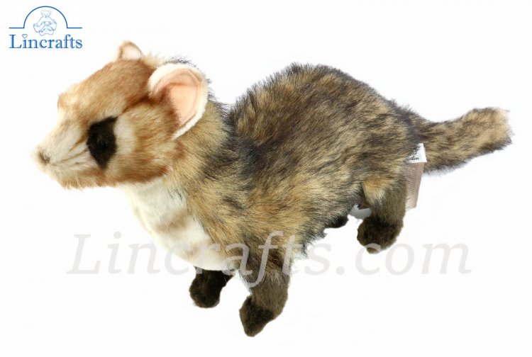 hansa ferret
