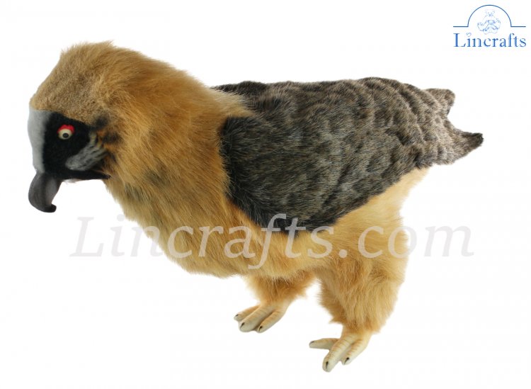 Hansa Bearded Vulture 7636 Plush Soft Toy Sold by Lincrafts Established 1993 