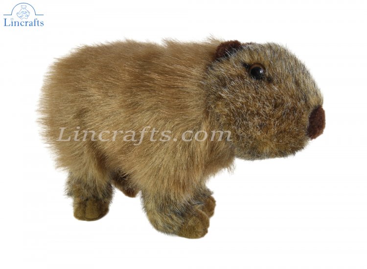 Capybara soft toy online