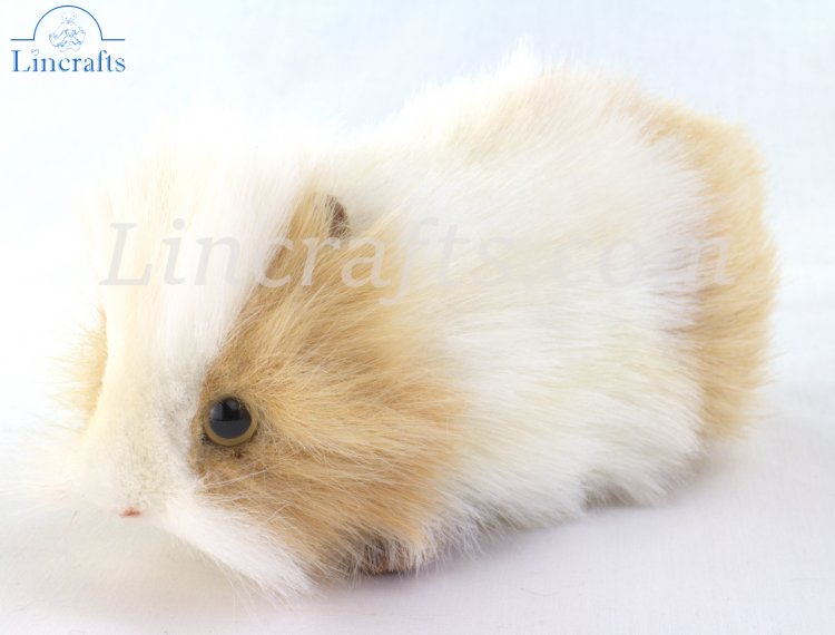 Hansa Gold & White Guineapig 7319 Soft Toy Sold by Lincrafts Established 1993 