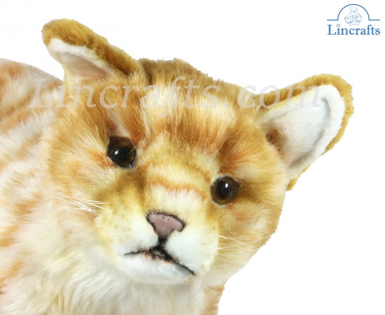 ginger tabby cat soft toy