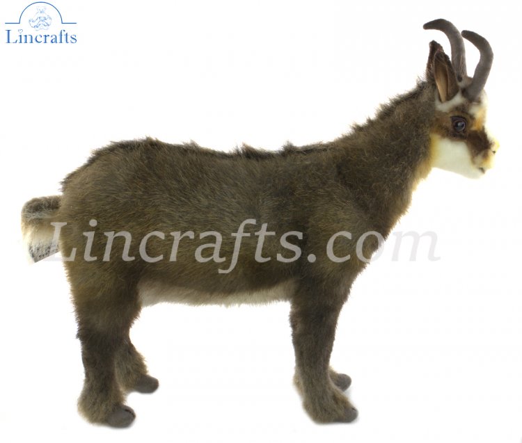 Hansa Chamois Goat 6318 Soft Toy Wild Animal Sold by Lincrafts Established 1993 
