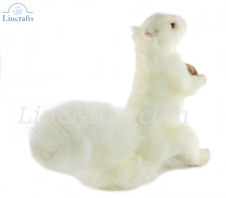 Hansa White Squirrel with acorn 7742 Soft Toy Sold by Lincrafts Established 1993 