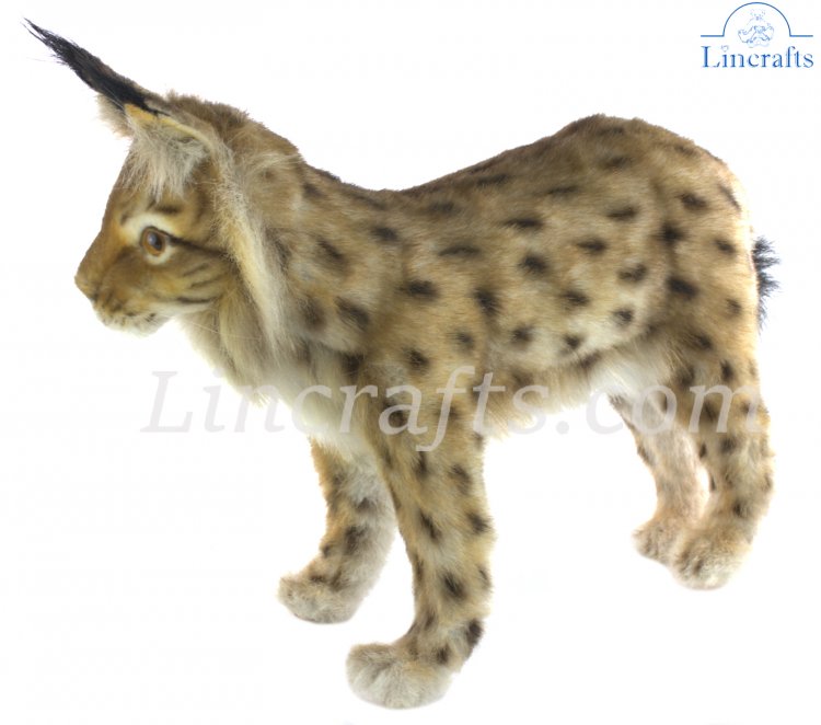 Hansa Euresian Lynx 8070 Plush Soft Toy Sold by Lincrafts Established 1993. 