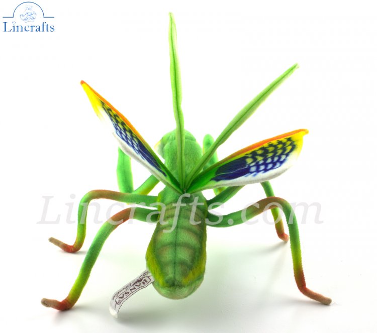 Hansa rezando Mantis 7773 Blanda Juguete insecto vendidos por lincrafts establecido 1993 