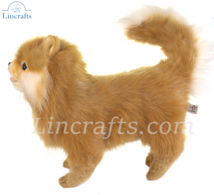 Hansa Pomeranian Pup 7591 Plush Soft Toy Dog Sold by Lincrafts Established 1993 