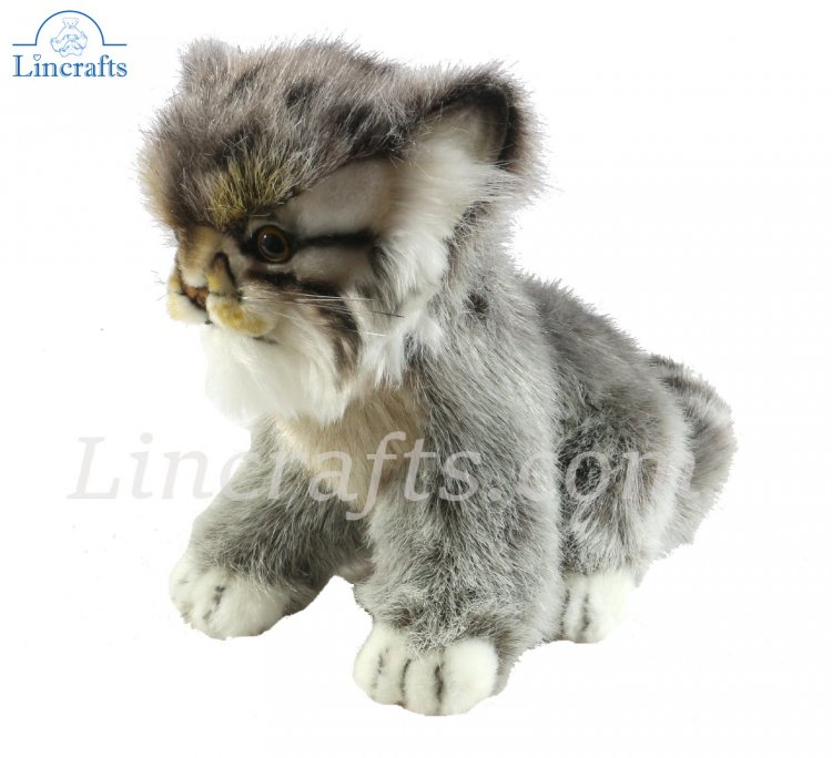 pallas cat stuffed animal