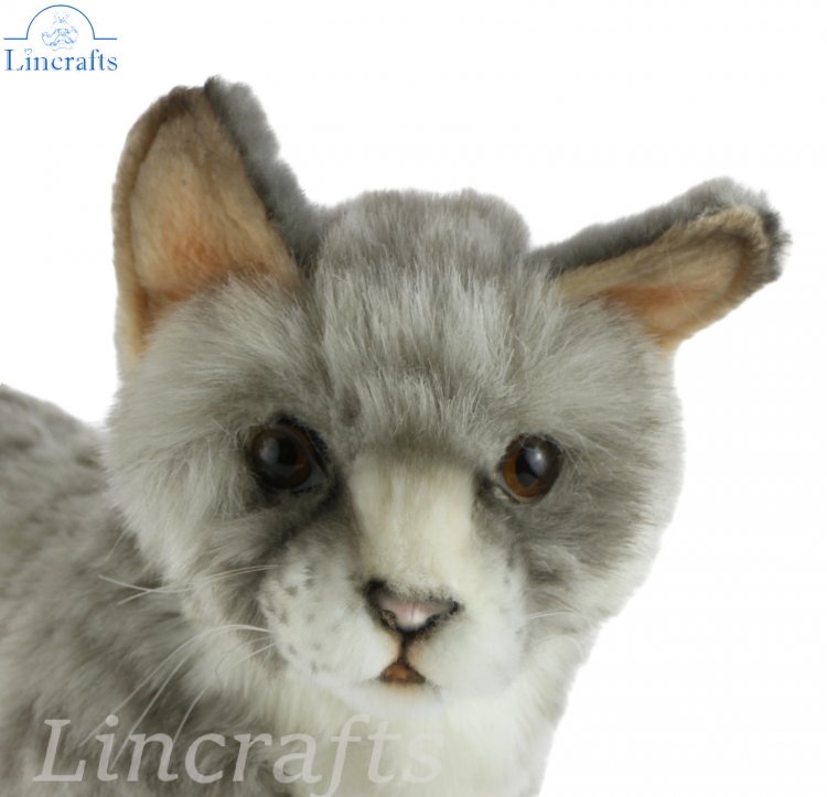 Hansa Sitting Grey Tabby Kitten 7227 Soft Toy Sold by Lincrafts Established 1993 