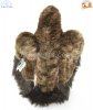 Soft Toy Bird of Prey Golden Eagle by Faithful Friends (48cm)L FGE03