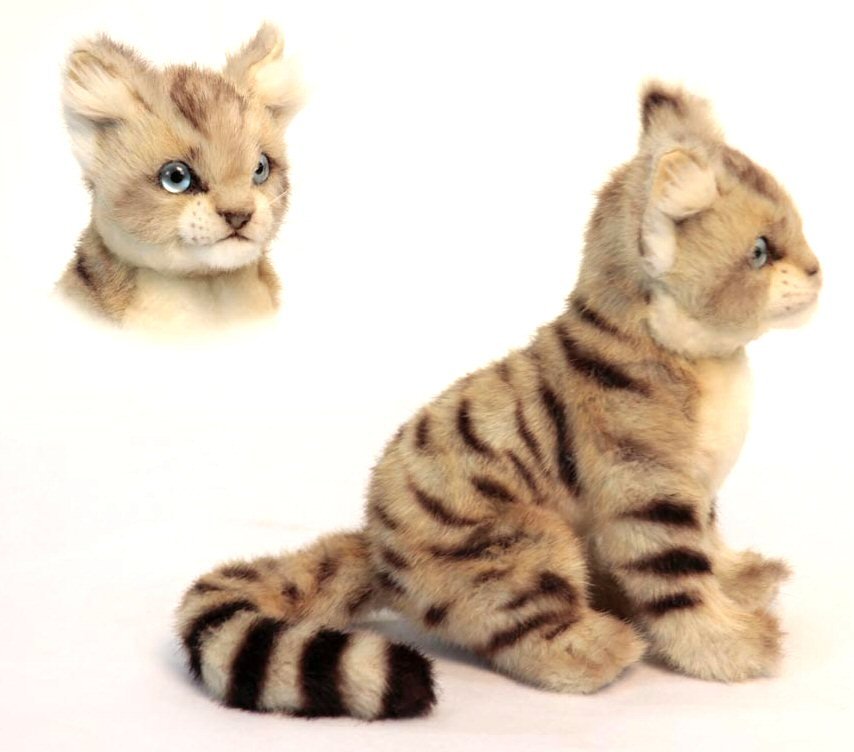 cat soft toy