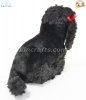 Soft Toy Dog, Black Poodle by Faithful Friends (23cm)H FBP03